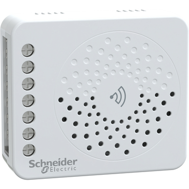 CR2CHRLYPG_IoP-Default_369